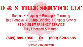 D & S Tree Service LLC